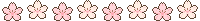 cherry blossoms